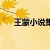 王蒙小說集（關于王蒙小說集的介紹）