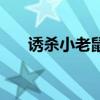 誘殺小老鼠（關于誘殺小老鼠的介紹）