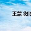 王蒙 微博（關于王蒙 微博的介紹）