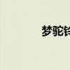 夢駝鈴（關于夢駝鈴的介紹）