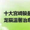 十大宮崎駿最好看電影排行榜（千與千尋上榜龍貓溫馨治愈）