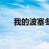 我的波塞冬（關于我的波塞冬的介紹）