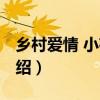 鄉村愛情 小夜曲（關于鄉村愛情 小夜曲的介紹）