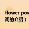 flower power歌詞（關于flower power歌詞的介紹）