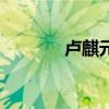 盧麒元（關于盧麒元的介紹）
