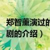 鄭智薰演過的電視劇（關于鄭智薰演過的電視劇的介紹）