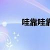 哇靠哇靠（關于哇靠哇靠的介紹）