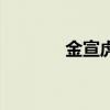 金宣虎（關于金宣虎的介紹）
