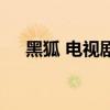 黑狐 電視劇（關于黑狐 電視劇的介紹）