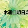 木通口明日嘉（關于木通口明日嘉的介紹）