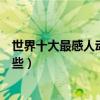 世界十大最感人動漫電影排行榜（感人催淚的動漫影片有哪些）