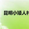 昆明小矮人村（關于昆明小矮人村的介紹）