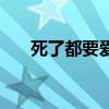 死了都要愛（關于死了都要愛的介紹）