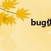 bug仇（關于bug仇的介紹）