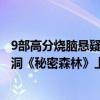 9部高分燒腦懸疑韓劇（9部高分燒腦懸疑韓劇：佩服編劇腦洞《秘密森林》上榜）
