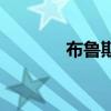 布魯斯（關于布魯斯的介紹）