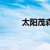 太陽茂森（關于太陽茂森的介紹）