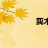 莪術（關于莪術的介紹）