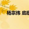 楊宗緯 底細（關于楊宗緯 底細的介紹）