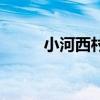 小河西村（關于小河西村的介紹）