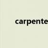 carpenter（關于carpenter的介紹）