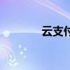 云支付（關于云支付的介紹）