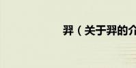 羿(關于羿的介紹)