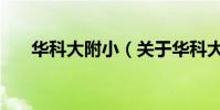 華科大附小(關于華科大附小的介紹)