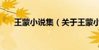 王蒙小說集(關于王蒙小說集的介紹)