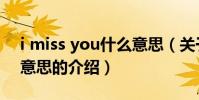 i miss you什么意思(關于i miss you什么意思的介紹)