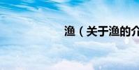 漁(關于漁的介紹)