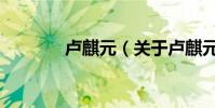 盧麒元(關于盧麒元的介紹)