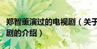鄭智薰演過的電視劇(關于鄭智薰演過的電視劇的介紹)