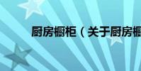 廚房櫥柜(關于廚房櫥柜的介紹)