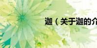 迦(關于迦的介紹)