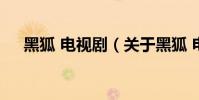 黑狐 電視劇(關于黑狐 電視劇的介紹)