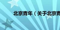 北京青年(關于北京青年的介紹)