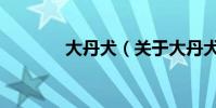 大丹犬(關于大丹犬的介紹)