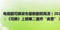 電視劇司藤發布最新劇照高清(2021最新熱門電視劇top10:《司藤》上榜第二直呼“真香”)