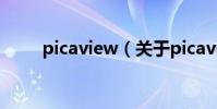 picaview(關于picaview的介紹)