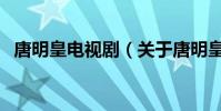 唐明皇電視劇(關于唐明皇電視劇的介紹)