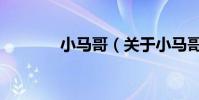 小馬哥(關于小馬哥的介紹)