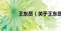 王東岳(關于王東岳的介紹)