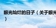 眼光燦爛的日子(關于眼光燦爛的日子的介紹)