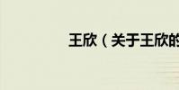 王欣(關于王欣的介紹)