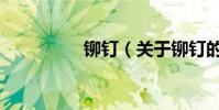 鉚釘(關于鉚釘的介紹)