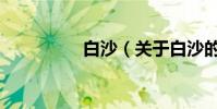 白沙(關于白沙的介紹)