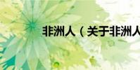 非洲人(關于非洲人的介紹)