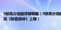 9部高分燒腦懸疑韓劇(9部高分燒腦懸疑韓劇:佩服編劇腦洞《秘密森林》上榜)
