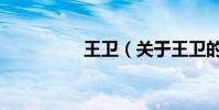 王衛(關于王衛的介紹)